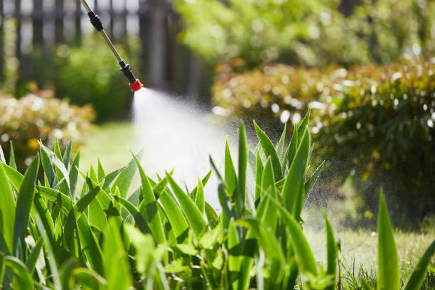 24/7 Emergency Mosquito Control experts in Uvalde, TX