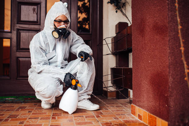 Reliable Mosquito Control contractor in Uvalde, TX by Show Me Pest Control